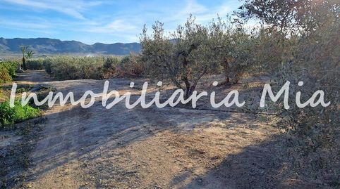 SE VENDE GRANJA PORCINA CON TERRENO EN HUERCAL OVERA, imatge 4