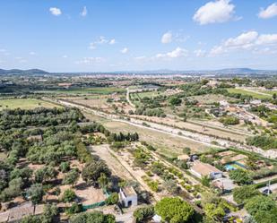 Land for sale in Manacor