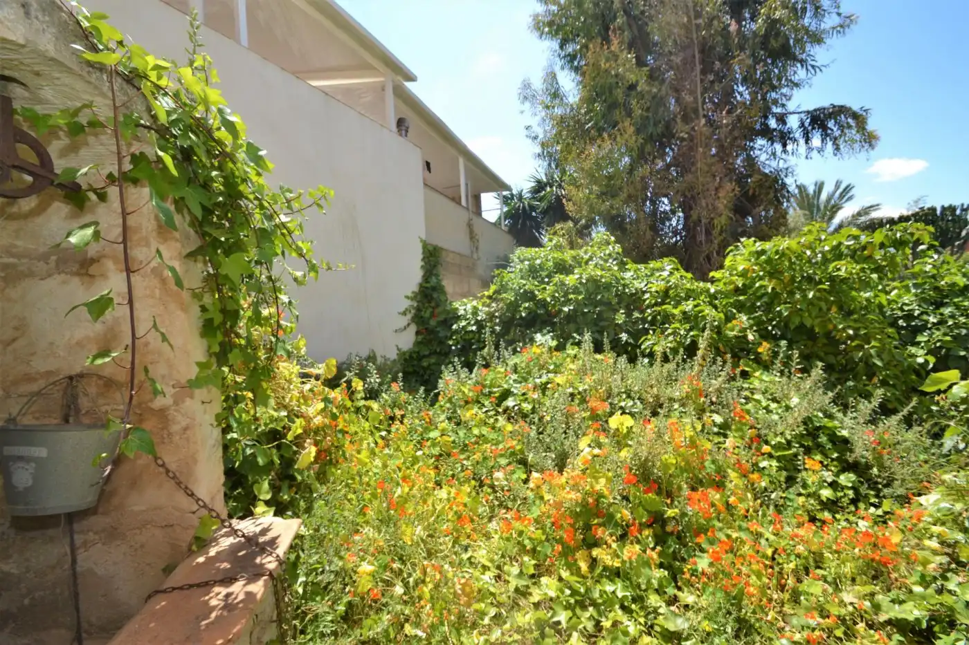 Maison rustique avec jardin à vendre à Calle Sa Teulera 41, imagen 15