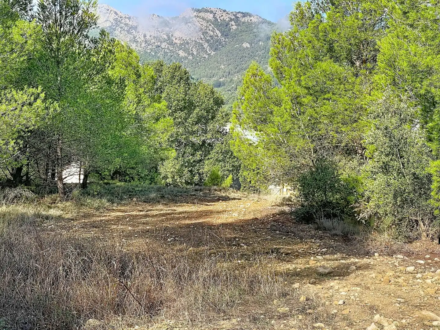 Wohnbaugrundstück zum Verkauf in Muro de Alcoy, imagen 8