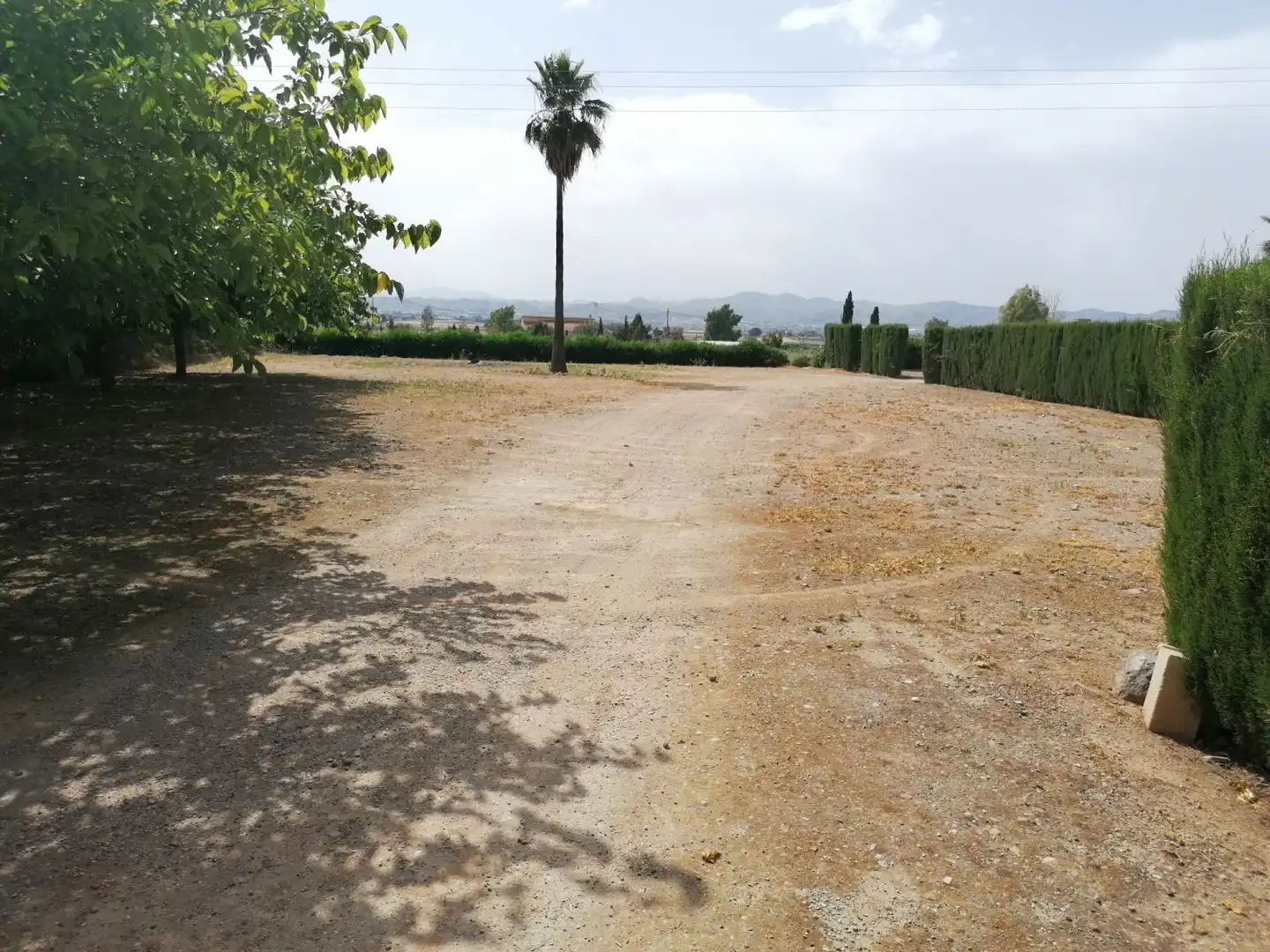 Commercial properties for sale in Lorca