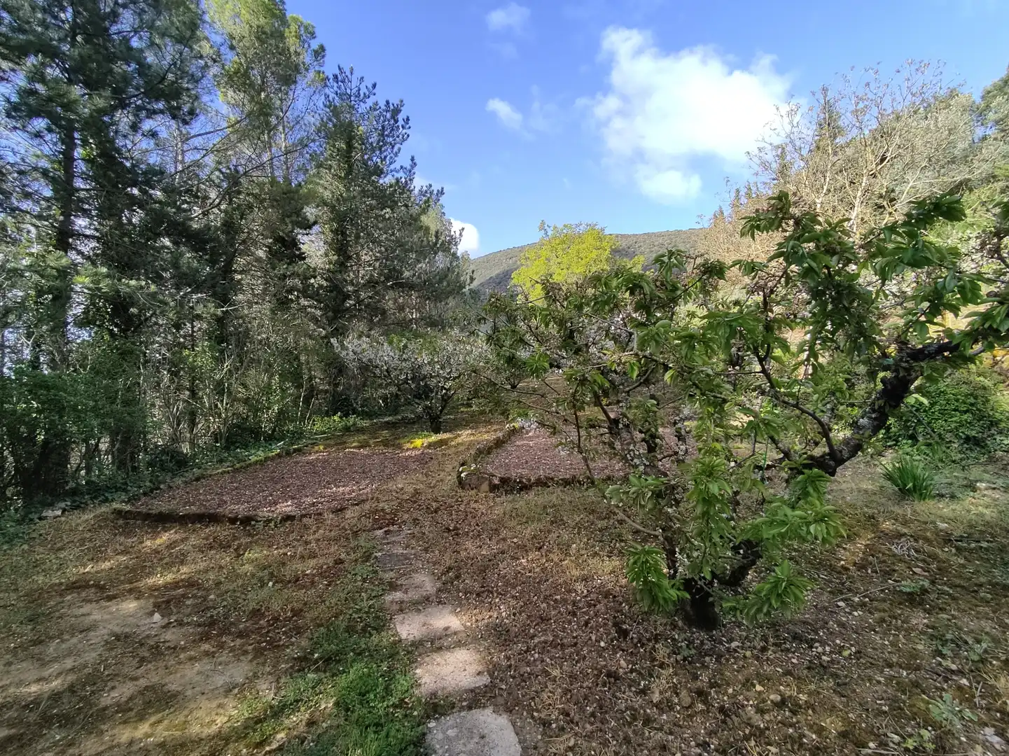 Terreno en venta en Ciriza / Ziritza