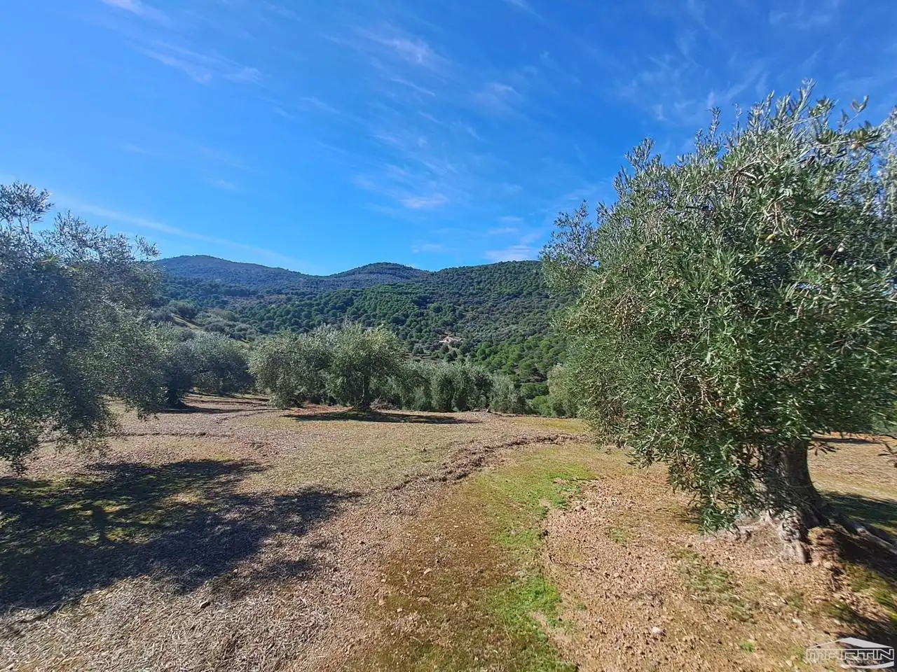 Casa o chalet en venta en Villaviciosa de Córdoba con Piscina