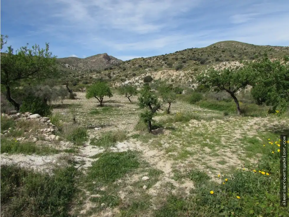 Country house for sale in Sorbas, imagen 14