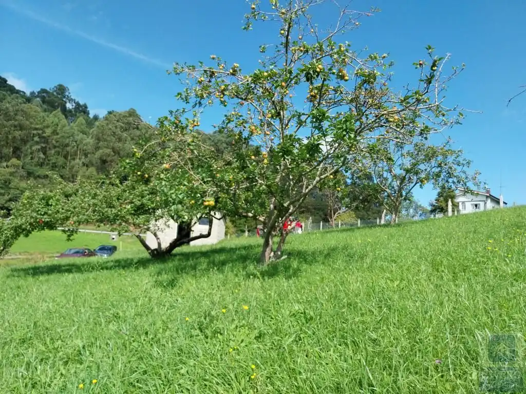 Grundstücke und Bauplätze zum Verkauf in Illas, imagen 2