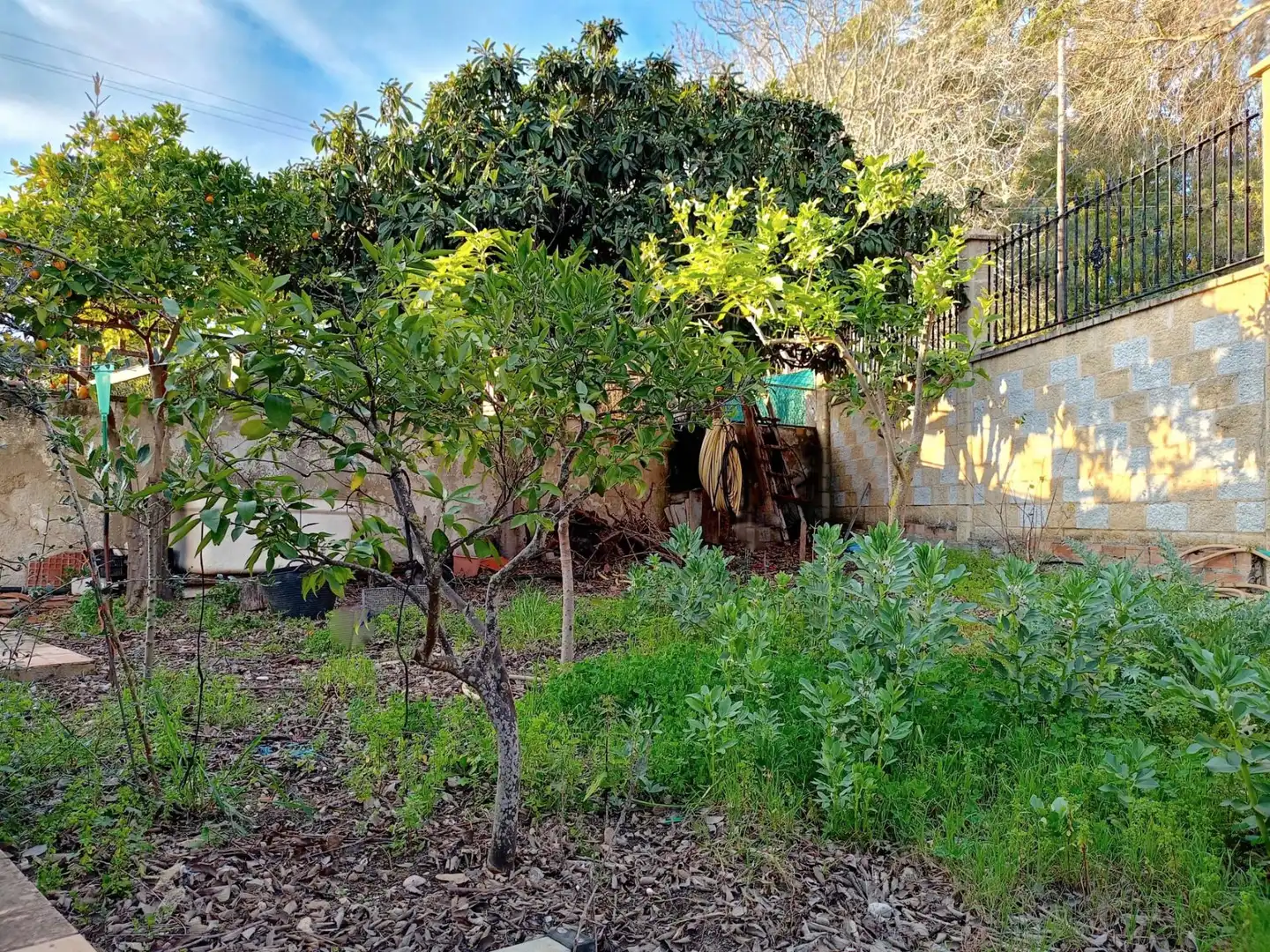 Jardí de Casa o xalet en venda en Arcos de la Frontera amb Calefacció, Jardí privat i Traster