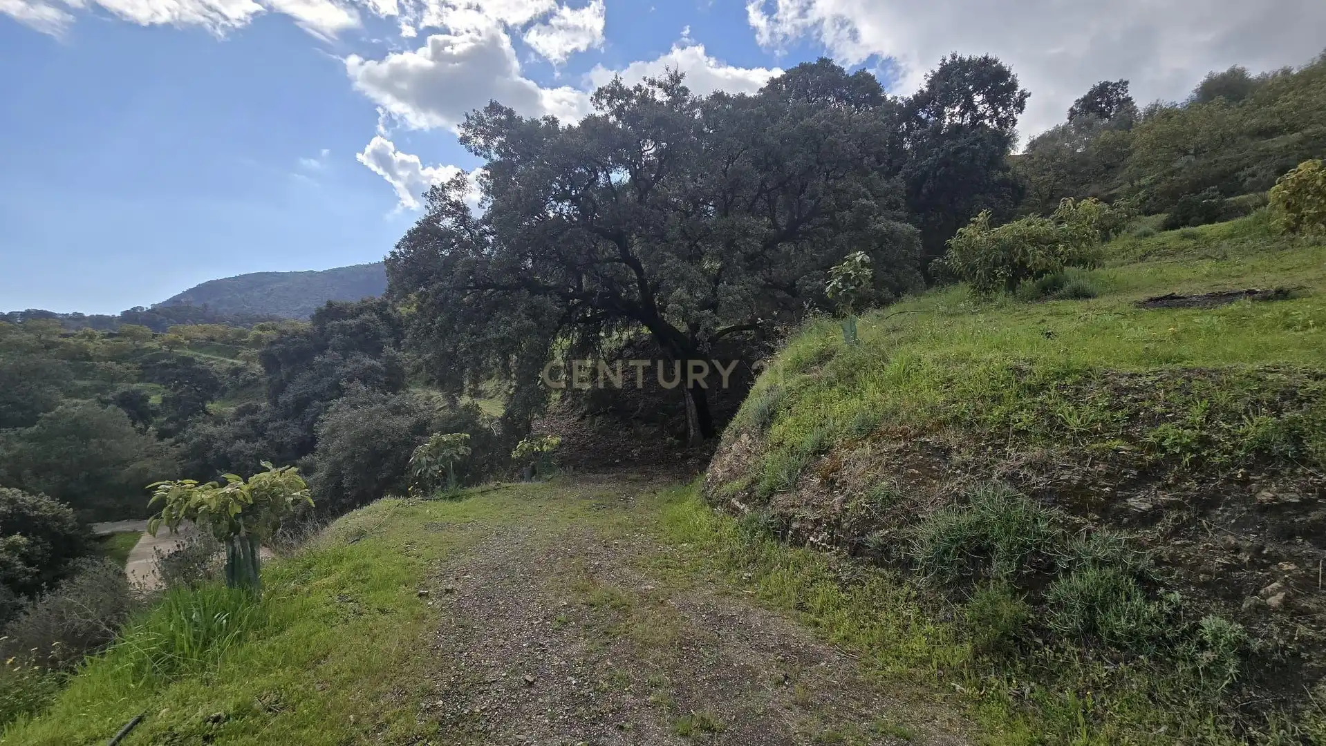 Terreno rustico in vendita a Polígono 11 Parcela 122 EL CERRILLO. LOS GUAJARES (GRANADA), imagen 12