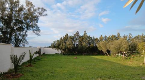 Foto 3 de Casa o chalet en venta en Pedanías Sur, Utrera