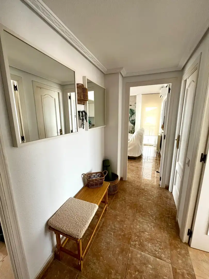 Apartments for rent in Torrevieja  with Air Conditioner, Private garden and Terrace