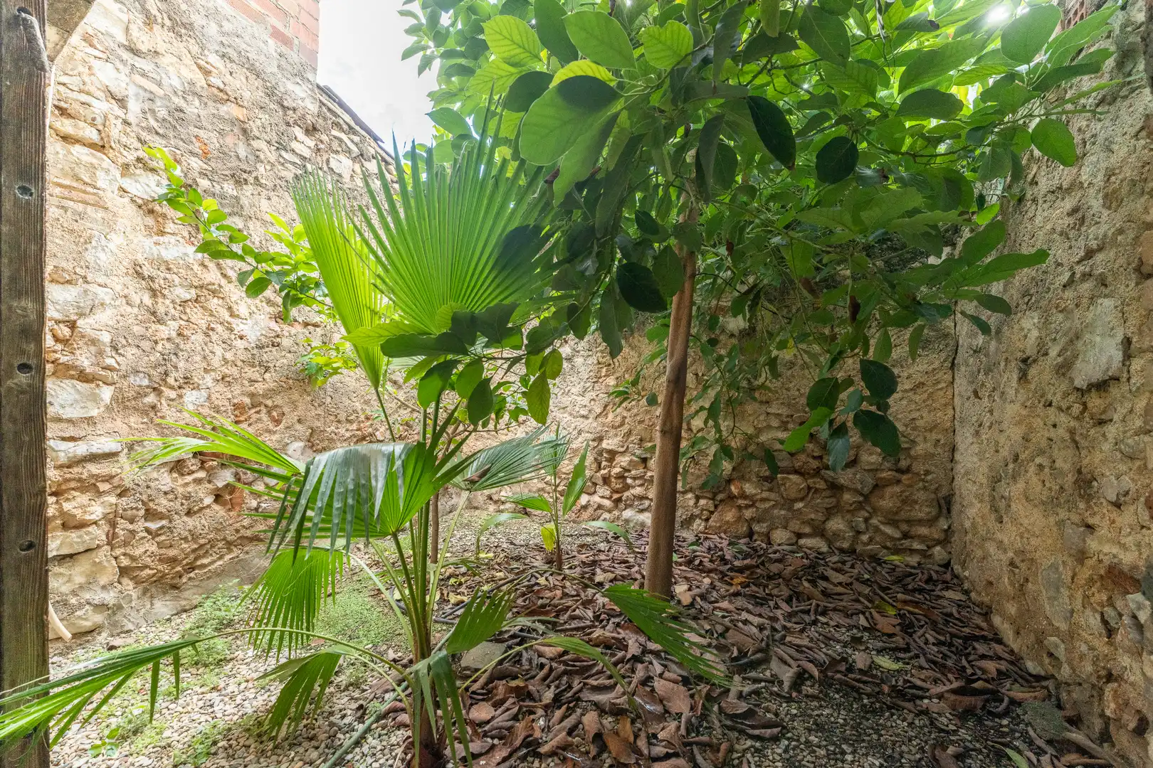 Jardí de Casa o xalet en venda en Els Guiamets amb Aire condicionat, Jardí privat i Terrassa