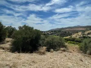 Land for sale in Monda