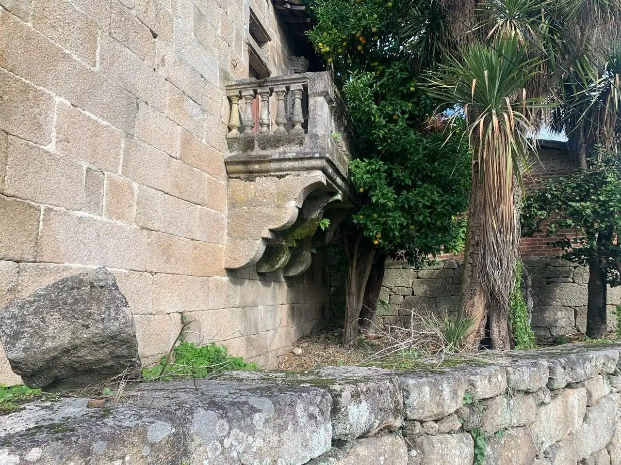 Houses for sale in San Rosendo