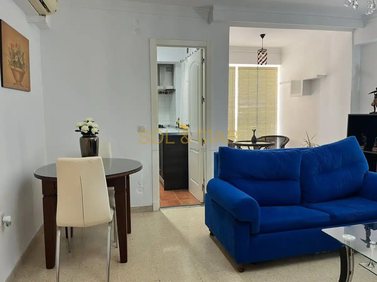 Sala d'estar de Apartament de lloguer en Torremolinos amb Terrassa