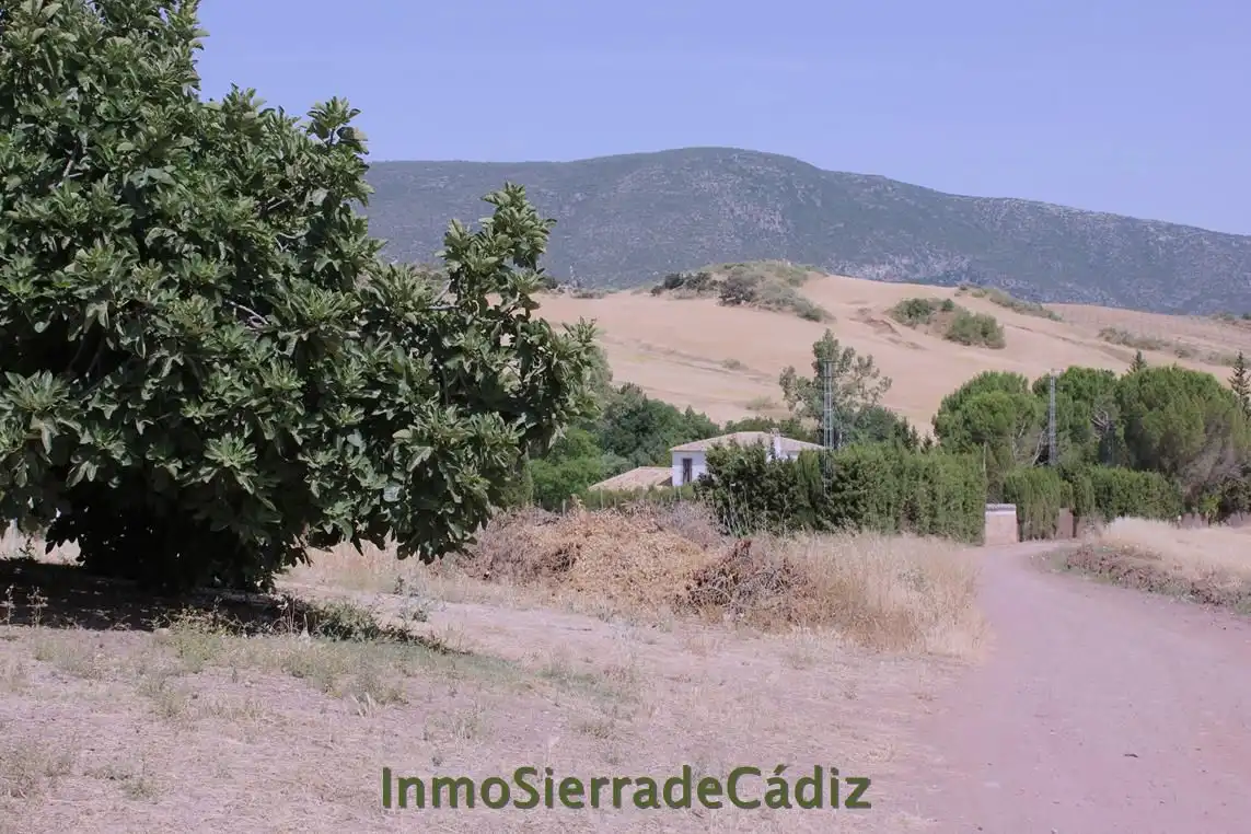 Casa rústica en venda a Algodonales, imagen 2