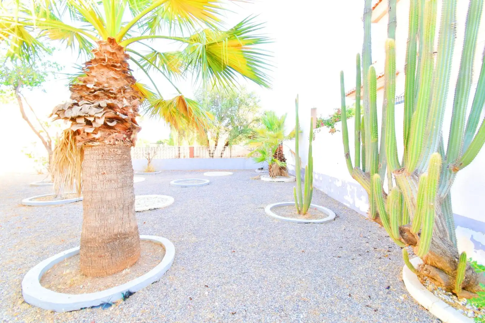 Jardín de Casa o chalet en venta en El Ejido
