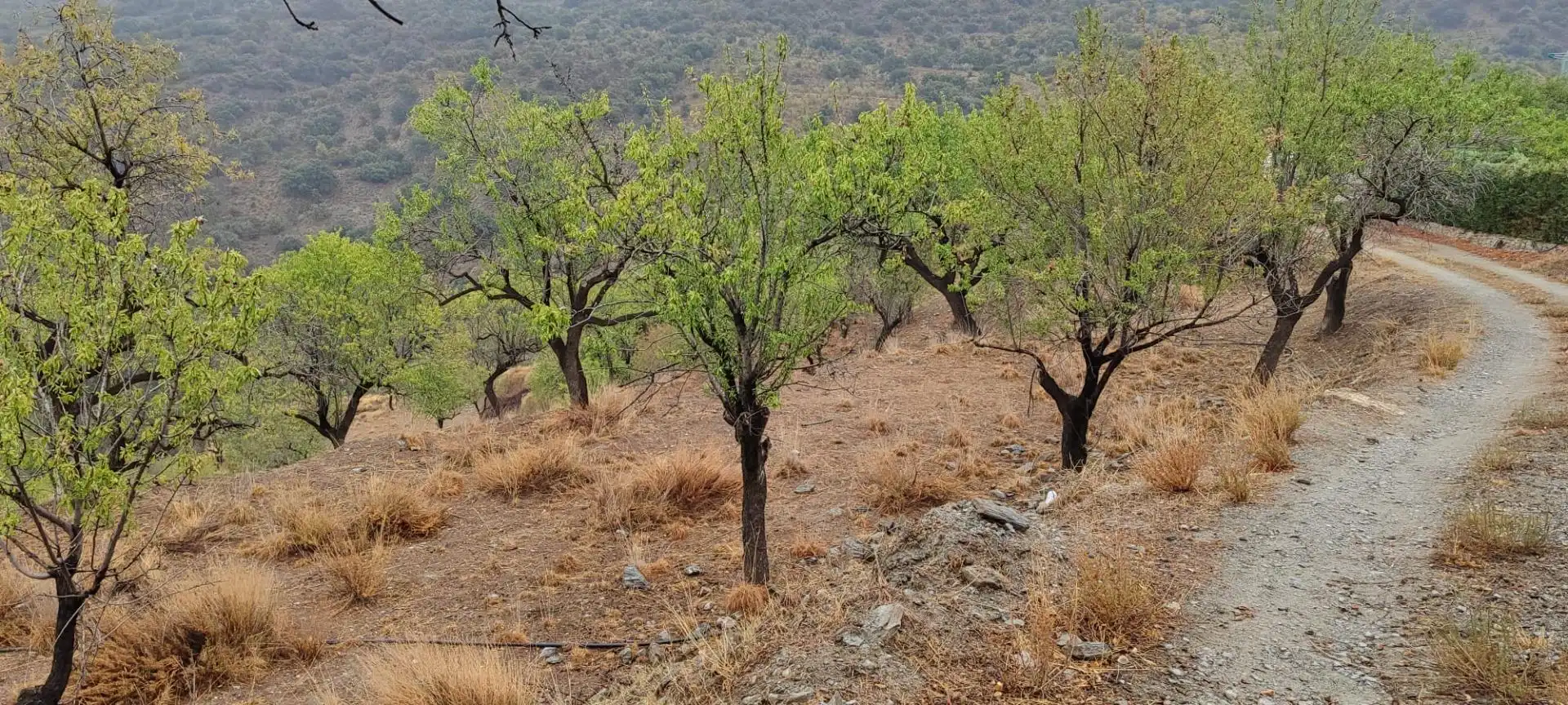 Residencial en venda en Sierro