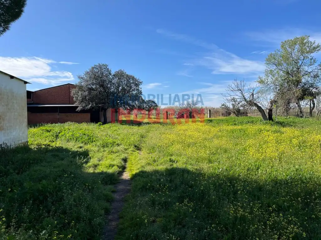 Finca rústica en venta en Peraleda de la Mata