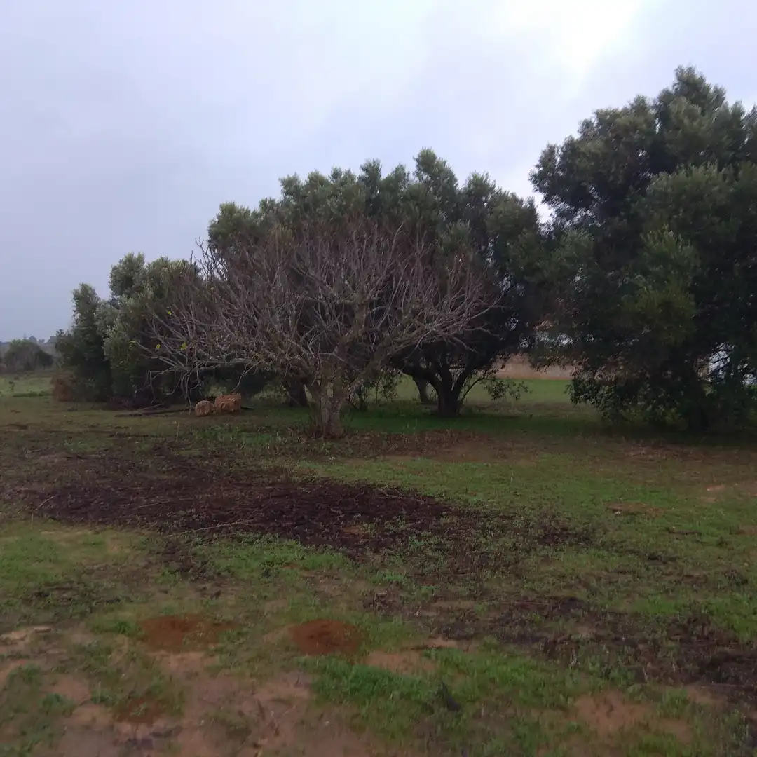 Casa amb jardí en venda a Carretera del Pago del Humo, imagen 11