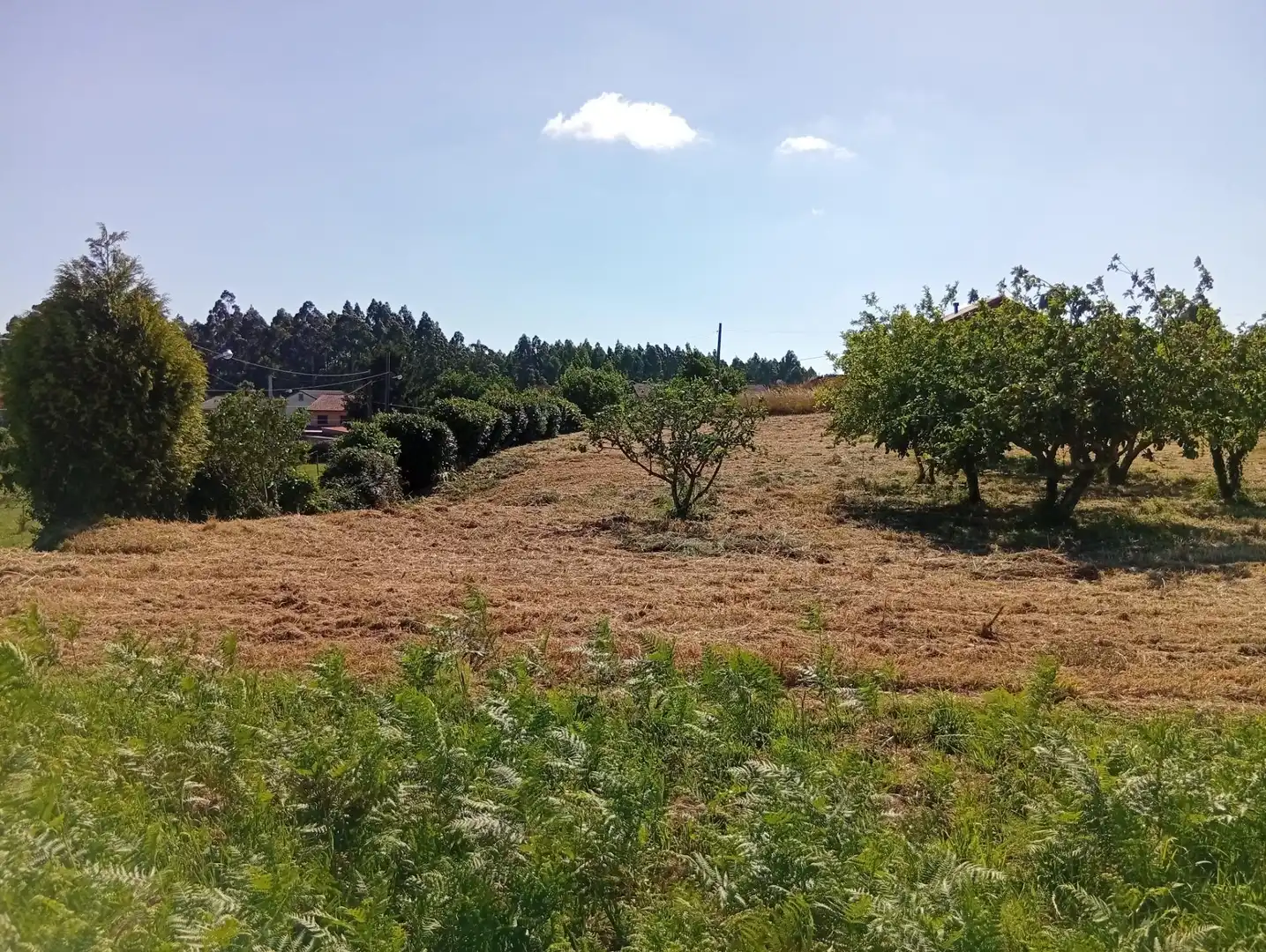 Terreni e lotti in vendita a Lugar BARREIRAS