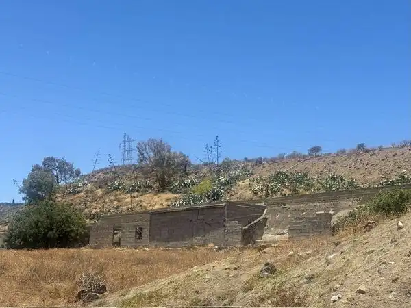 Rural land for sale in Calle Araucaria 13, imagen 12