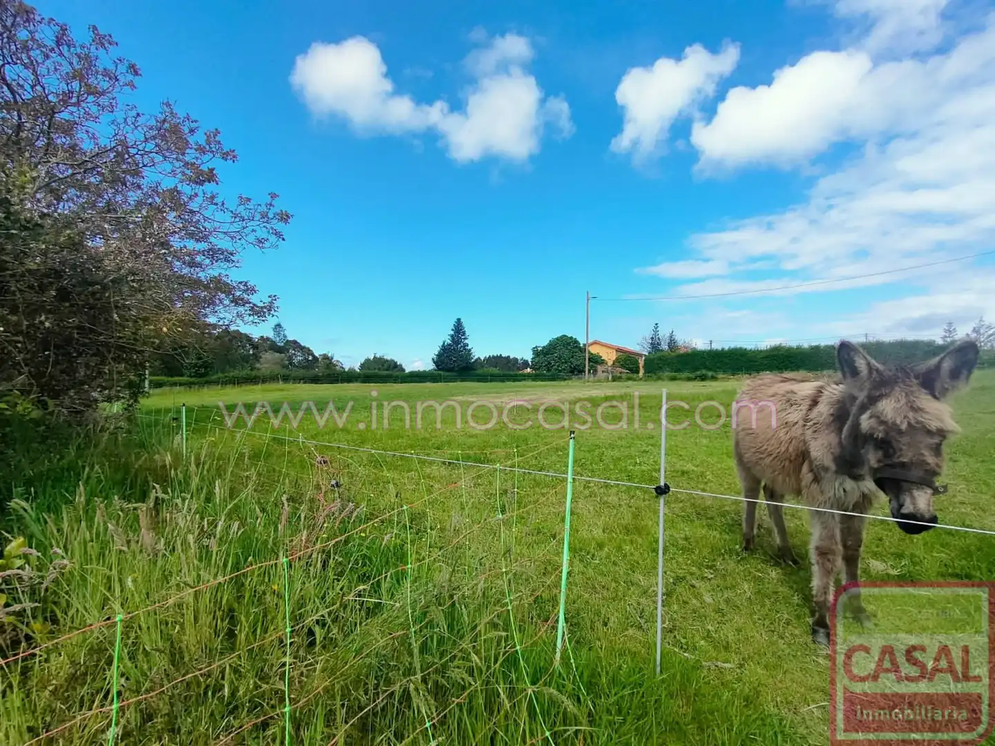 Terrenos y solares en venta en Cudillero, imagen 13