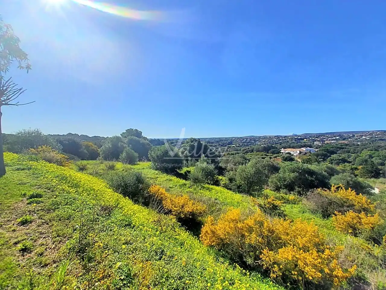 Terrenys i solars en venda a Lavanda En La Reserva De Sotogrande, imagen 11