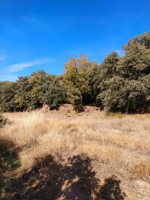 Country homes for sale in Pórtugos
