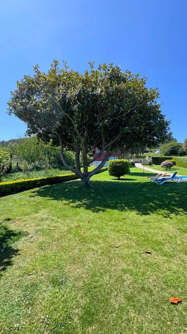 Garden of Houses for sale in Carballo  with Heating, Private garden and Swimming Pool