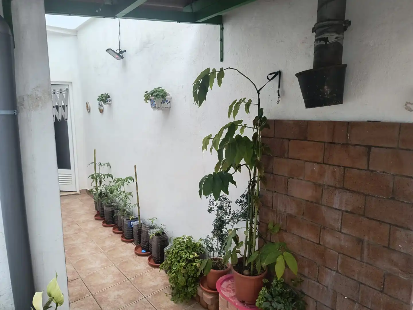 Terrassa de Casa o xalet en venda en Buenavista del Norte amb Jardí privat, Terrassa i Forn