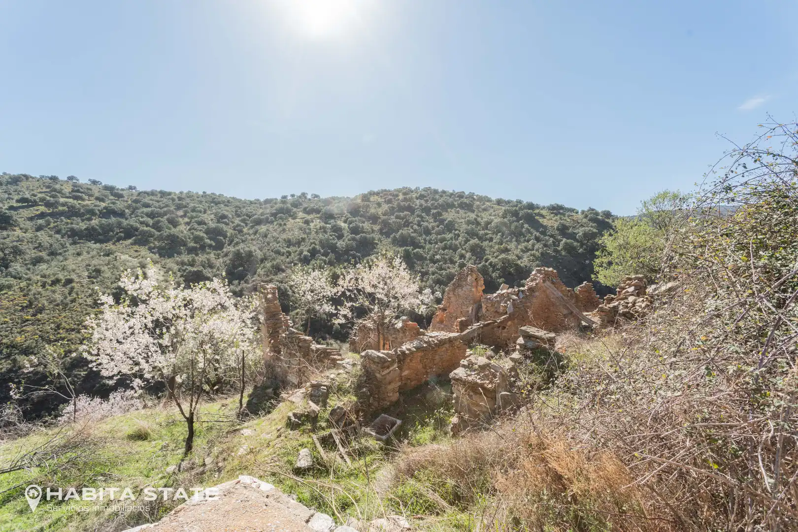 Casa o xalet en venda en Macael amb Jardí privat, Terrassa i Moblat