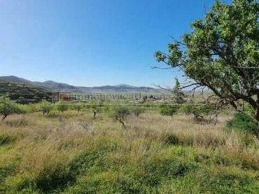 Terreno rustico in vendita a Pedanías Oeste