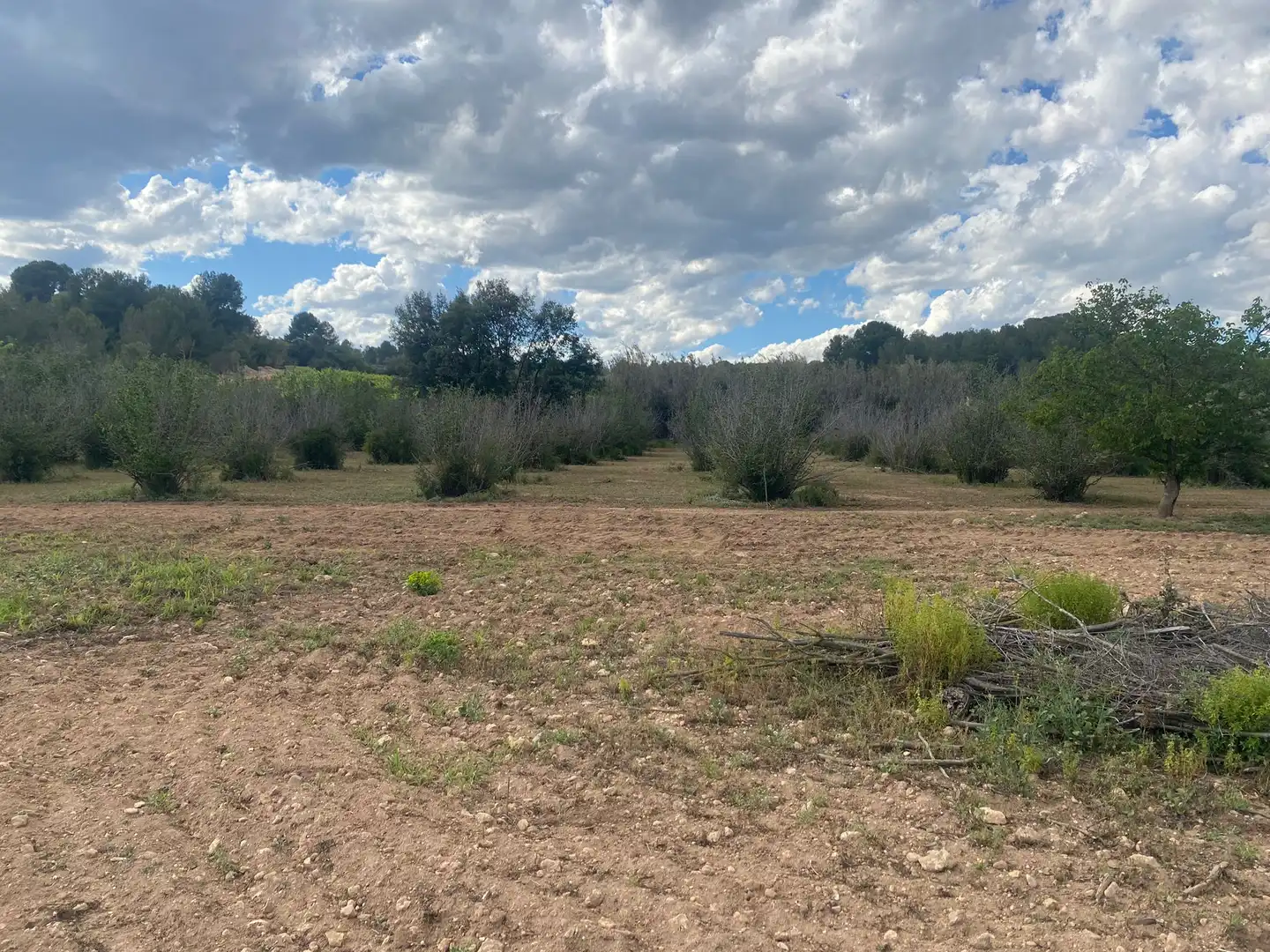 Terreno rustico in vendita a Perafort, imagen 14