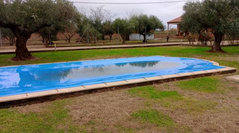 Foto 3 de Casa o chalet en venta en Medellín, Badajoz