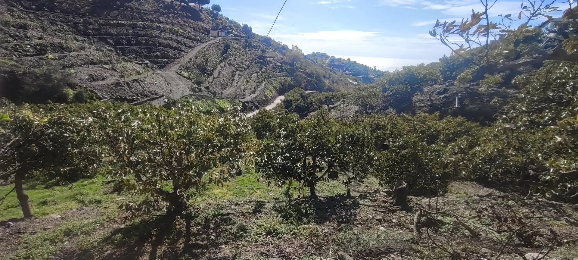 Casa rústica en venta en Torrox Pueblo, imagen 28