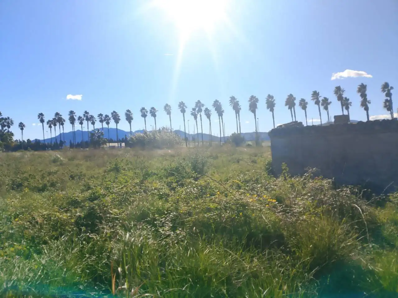 Terreno en venta en Oliva