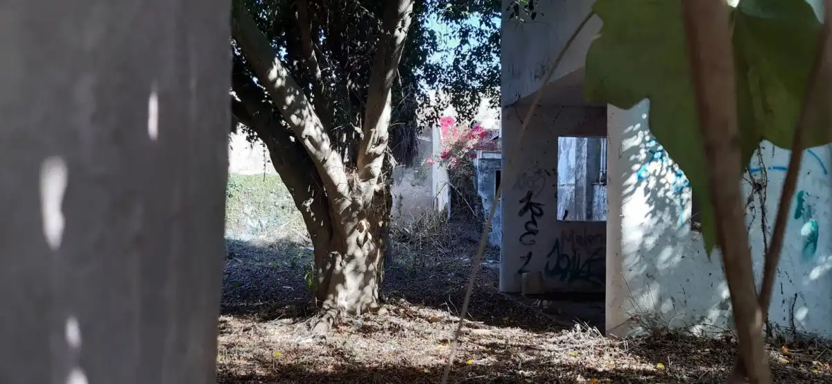 Terrenys i solars en venda a La Soledad