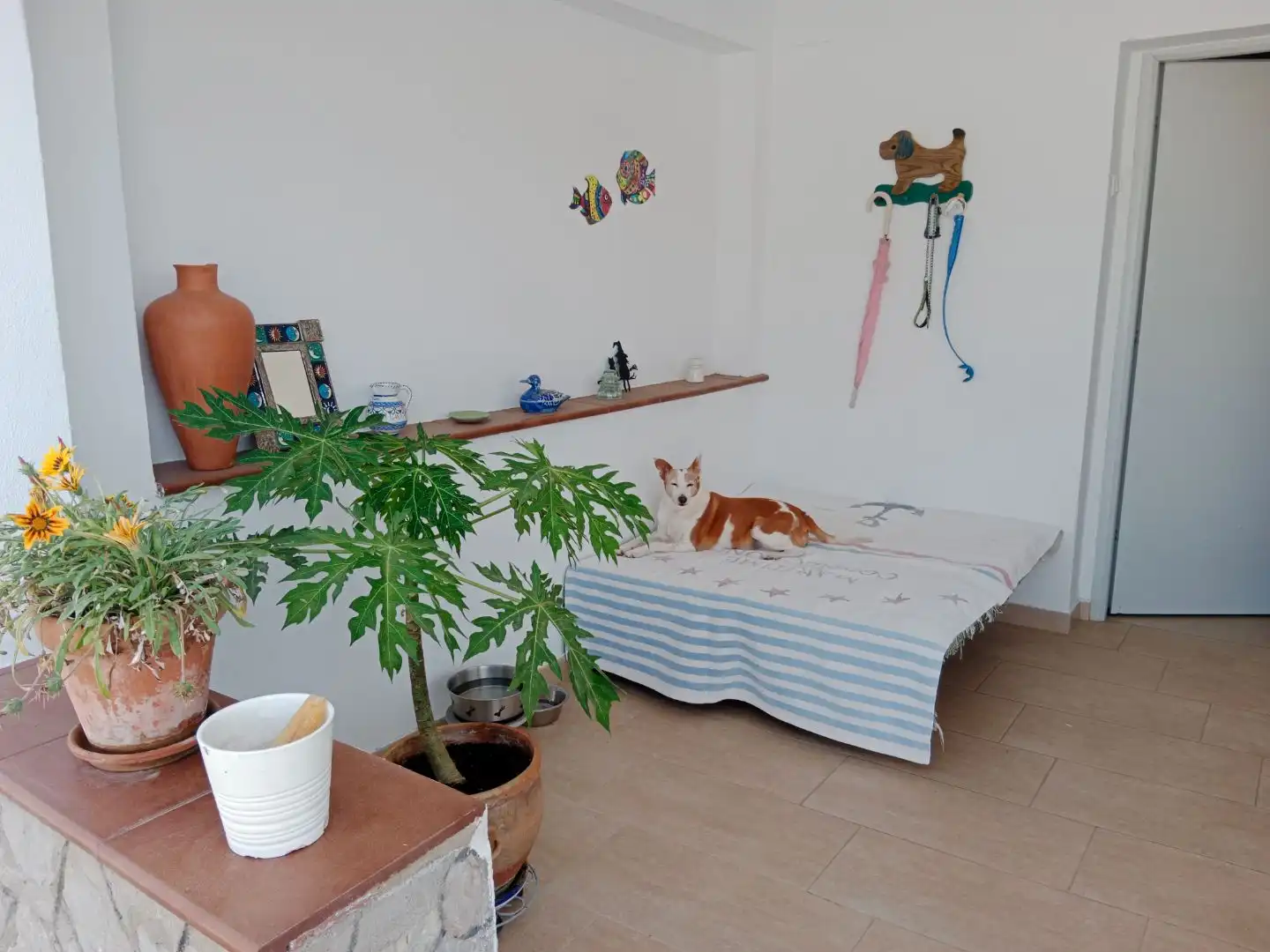 Casa amb piscina en venda a Camino la Calera 7, imagen 11