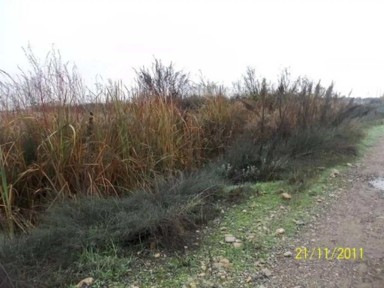 Terreny residencial en venda a Sector LA VEGUILLA, imagen 4