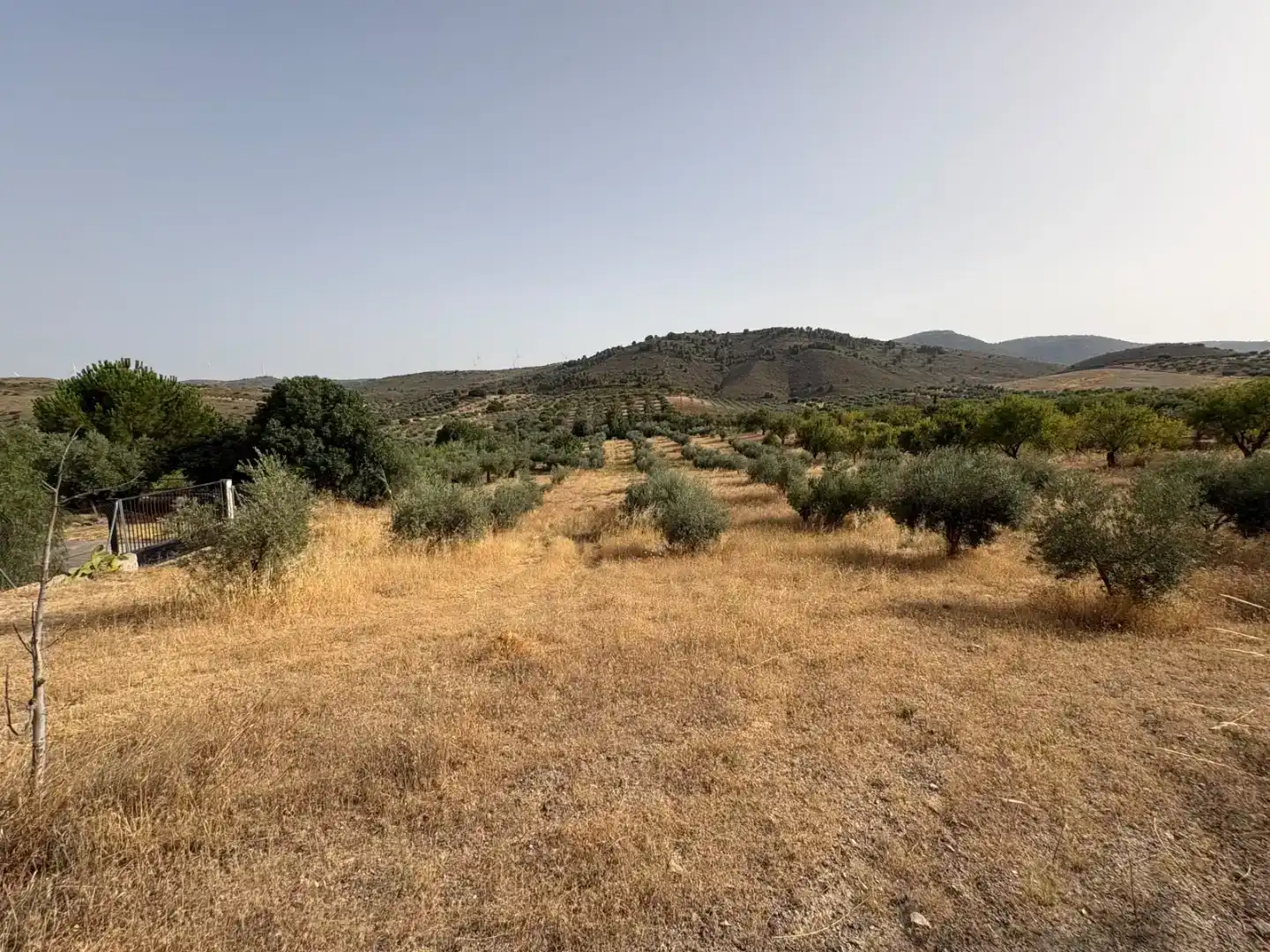 Pis en venda en Padul amb Jardí privat