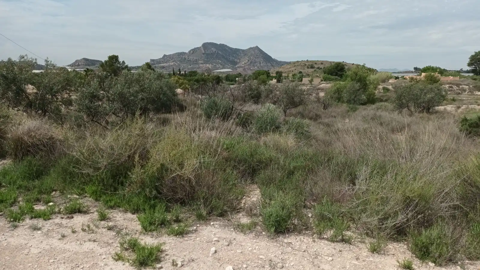 Terrain résidentiel à vendre à Verdegas, imagen 7