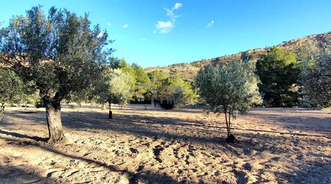 Foto 4 von Grundstücke zum Verkauf in Partida Macaroves, Relleu, Alicante