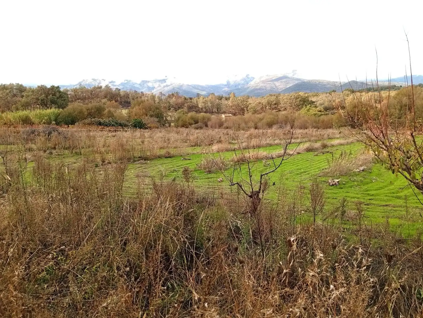 Terreni e lotti in vendita a Villanueva de la Vera, imagen 34