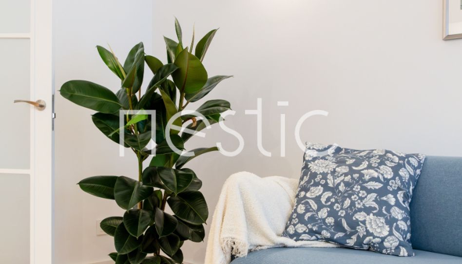 Apartamento de alquiler en Calle de San Bernardo, 107, Arapiles - Imagen 3