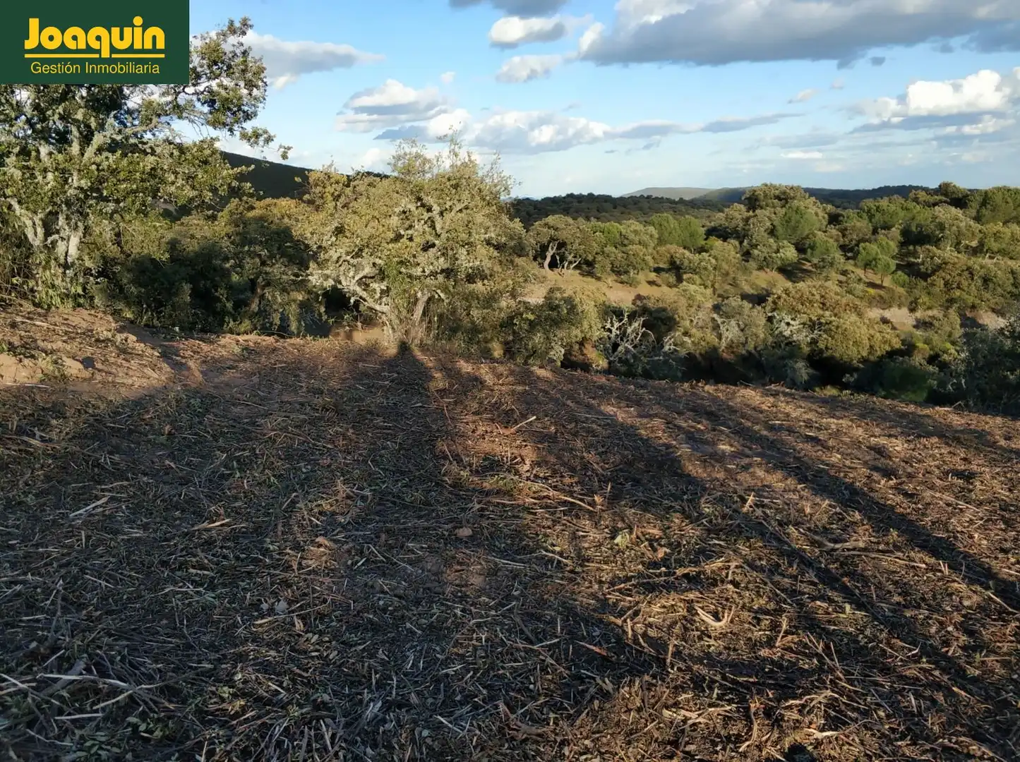 Terreno en venta en Obejo