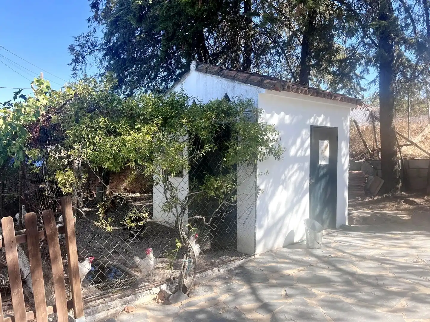 Casa amb piscina en venda a Zalamea la Real, imagen 19