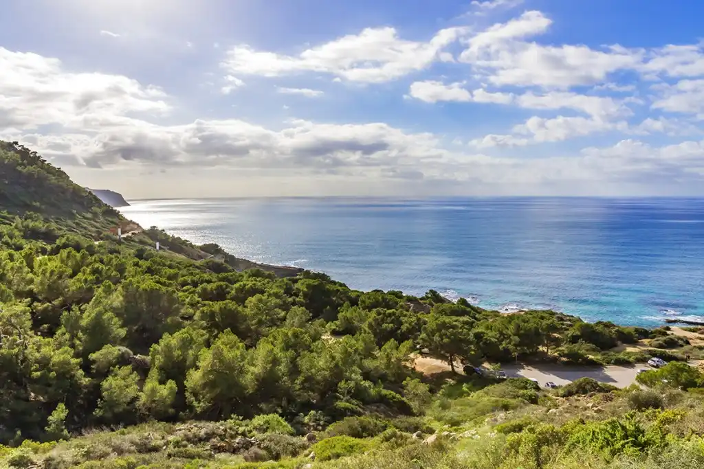 Casa pareada con piscina en venta en Maioris-Puig de Ros, imagen 18