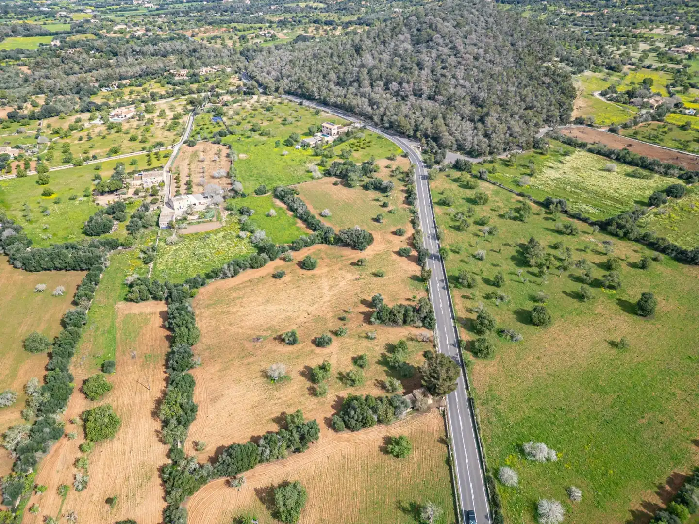 Rural land for sale in Felanitx Poble, imagen 23