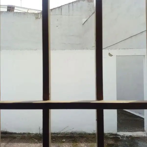Business premises for sale in Calle Don Miguel Astilleros, imagen 4