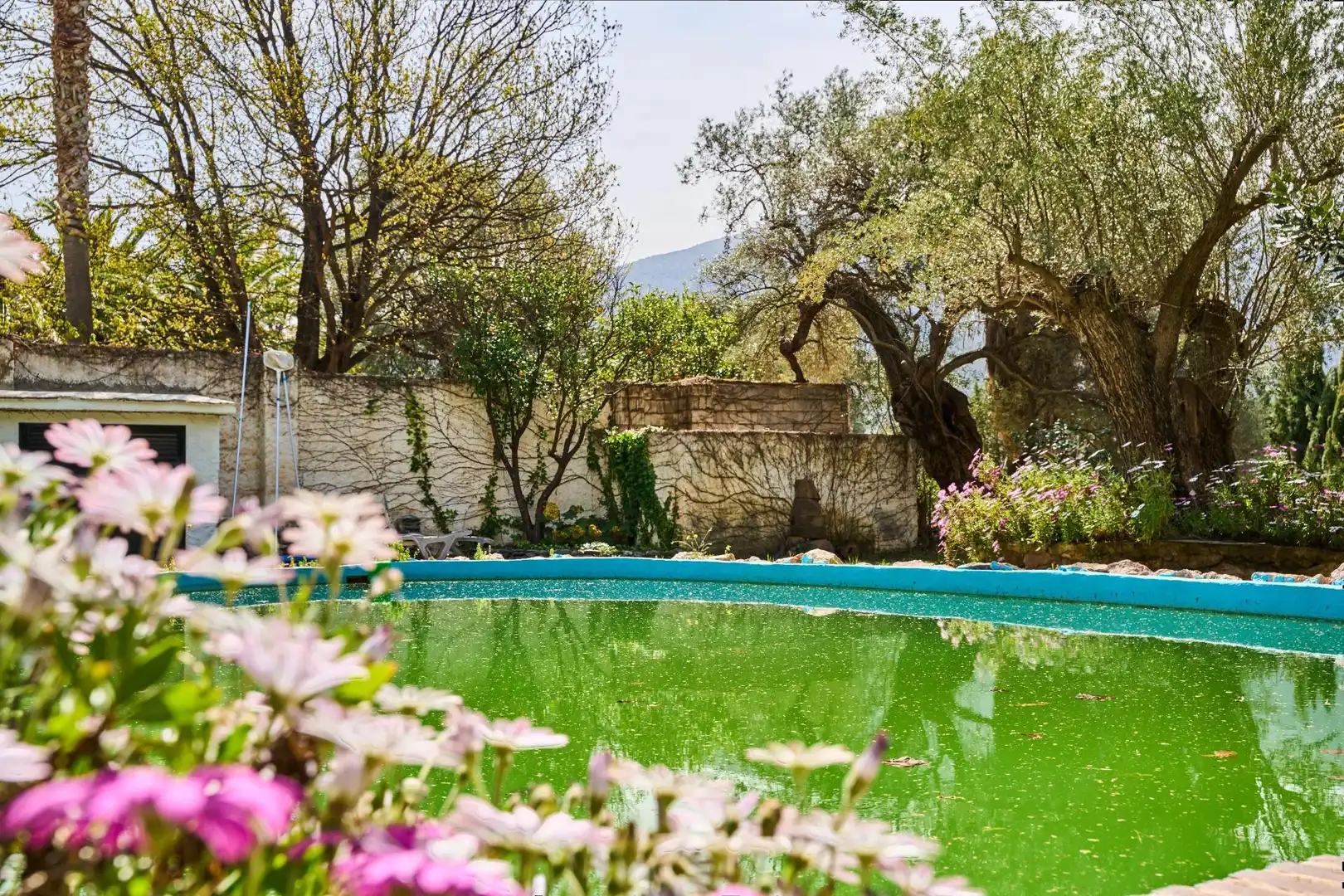 Piscina de Finca rústica en venda en Órgiva amb Jardí privat, Terrassa i Moblat