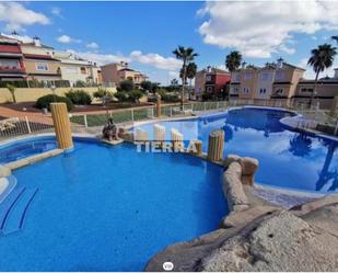Swimming pool of Flat to rent in  Murcia Capital  with Community pool